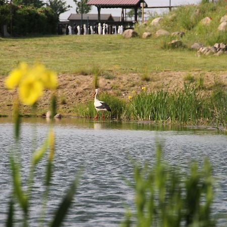 Kur-& Landhotel Borstel - Treff Dabel Εξωτερικό φωτογραφία